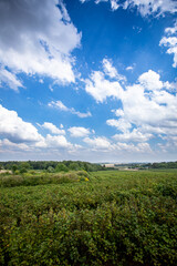 Expansive, lush green fields stretch out under a beautifully bright blue sky above
