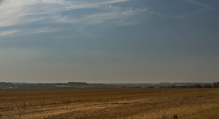 Fototapeta premium A field of dry grass with a clear blue sky in the background