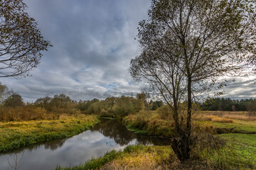 A tree stands in a field with a river running through it