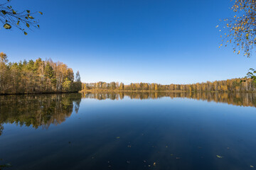 A calm lake with trees in the background
