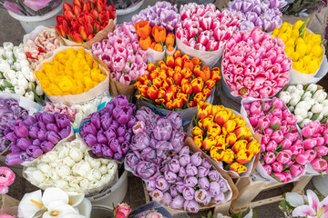 Colorful display of flowers in various colors and sizes