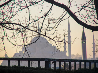 Silhouetted mosque and minarets framed by bare branches in Istanbul, Turkey.