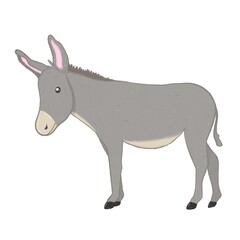 Isolated illustration of cute donkey 