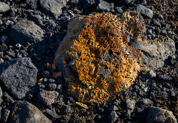 Detail of lava stone with lichen, Iceland