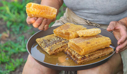 An elderly woman holds honey in her garden. Selective focus.