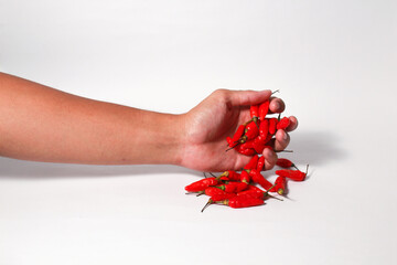 A hand holding red cayenne peppers on isolated white background