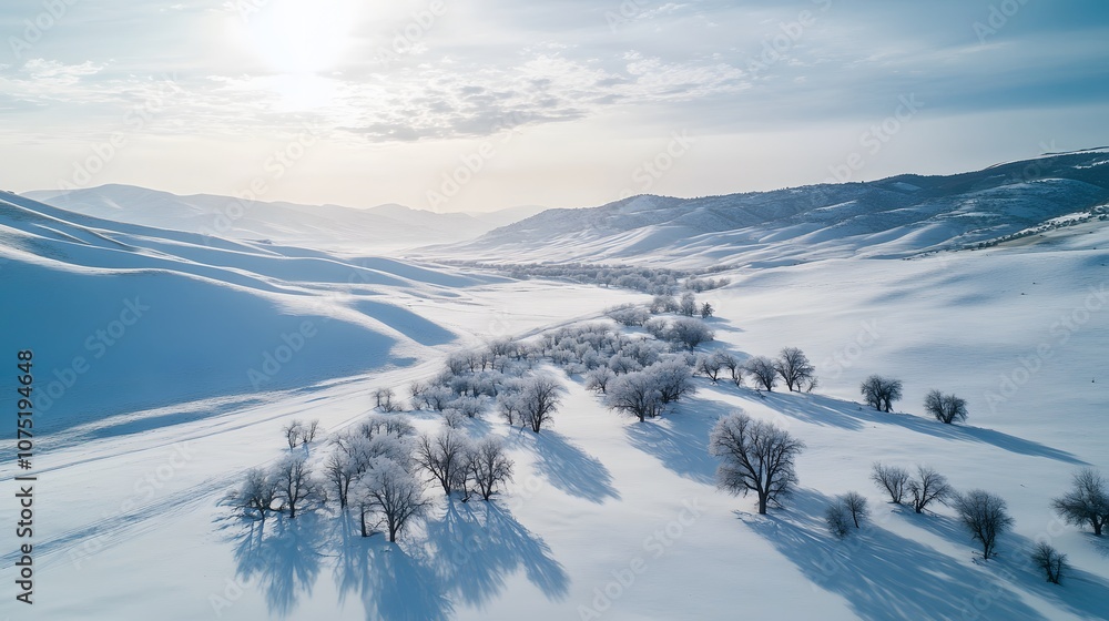 Poster Expansive view of symmetrical snow-covered hills with clusters of trees breaking up the white landscape, creating a serene winter scene. No text, no logo, wide angle shot, cinematic scene, 4k