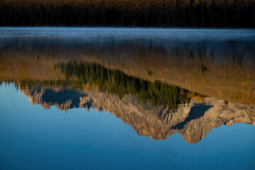 Idaho wilderness lake with mountain reflection and swan