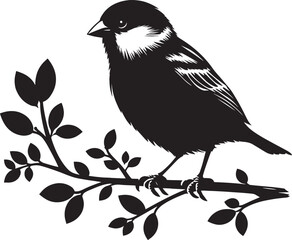 Beautiful sparrow bird silhouette vector illustration isolated on white background