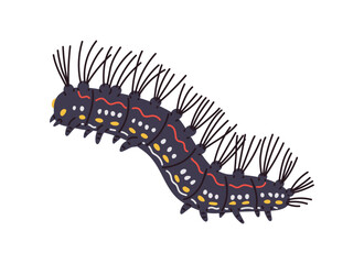 Long black caterpillar crawls.