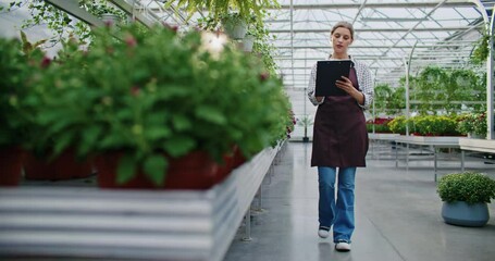 Sun shining bright in blurred background. Caucasian female with notepad and pen walking towards camera. Looking at red flowers in small pots. Preparing plants for customer. Preparing delivery.