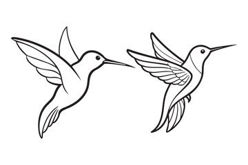 Hummingbird line art vector illustration, Hummingbird line art Silhouette