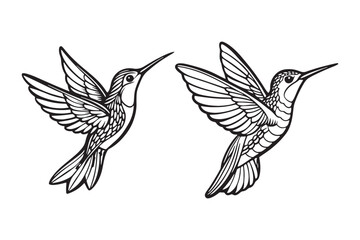 Hummingbird line art vector illustration, Hummingbird line art Silhouette
