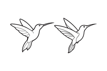 Hummingbird line art vector illustration, Hummingbird line art Silhouette