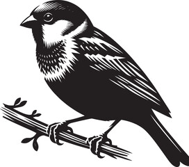 Beautiful sparrow bird silhouette vector illustration isolated on white background