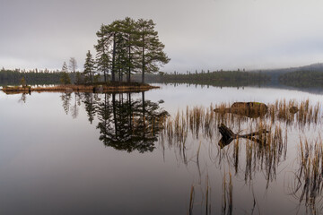 Fototapeta premium lake in the morning