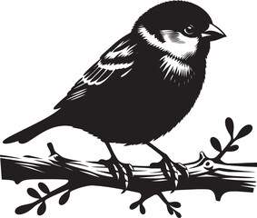Beautiful sparrow bird silhouette vector illustration isolated on white background