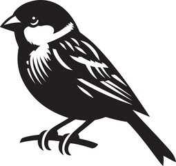Beautiful sparrow bird silhouette vector illustration isolated on white background