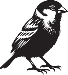 Beautiful sparrow bird silhouette vector illustration isolated on white background