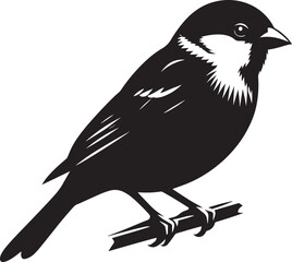 Beautiful sparrow bird silhouette vector illustration isolated on white background