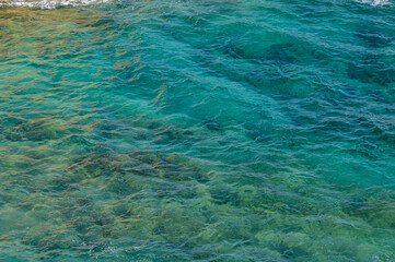 Clear turquoise waters revealing vibrant underwater life along the rocky shoreline at midday.
