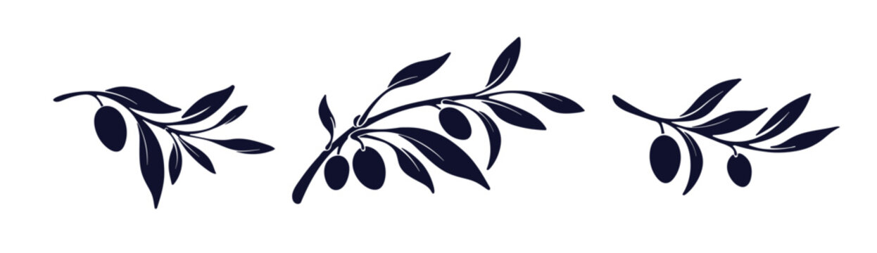 Naklejki Olive branch set, shape of fruit Greek oil product