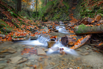 Niewielki górski potok płynący przez las w jesiennych barwach © Michal Przystas