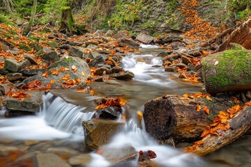 Niewielki górski potok płynący przez las w jesiennych barwach © Michal Przystas