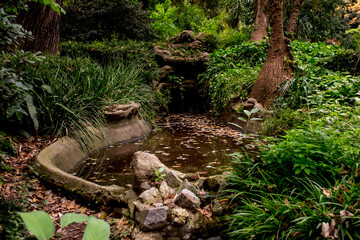 Lake in the botanical garden of Buenos Aires Argentina