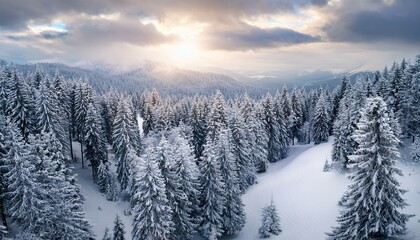 Obraz premium Experience the thrill of adventure in the snowy mountains. 