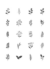 Naklejka premium set of winter branches and leaves icons