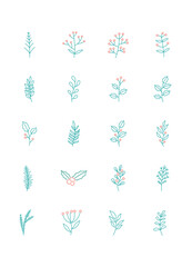set of winter branches and leaves icons