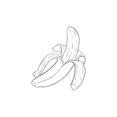 banana line art hand drawn illustration
