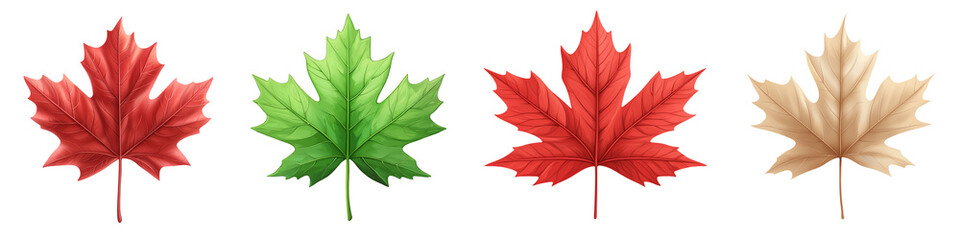 Naklejka premium Die-Cut colorful maple leaves in red, green, yellow on transparent background. transparent background