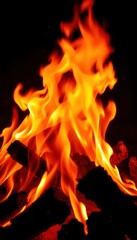 Fototapeta premium A Vibrant Campfire Crackling at Night, Illuminating the Dark Surroundings With Warm Hues