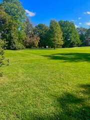 Obraz premium landscape with grass and trees