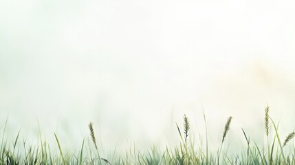 A serene landscape featuring tall grass shrouded in mist, creating a tranquil and ethereal atmosphere.
