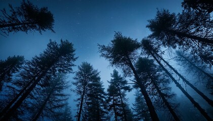 Conjunto de arboles, mirando a una noche oscura de luna llena