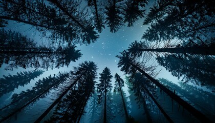 Obraz premium Conjunto de arboles, mirando a una noche oscura de luna llena