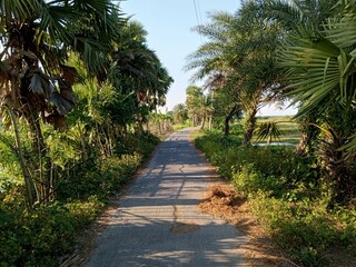 Obraz premium beautiful view of the park, Nature background