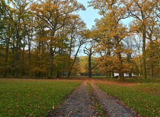 Fototapeta premium Ein Herbsttag in Tiergarten Hannover