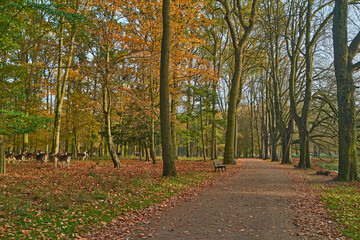 Ein Herbsttag in Tiergarten Hannover