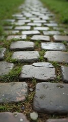 Worn Stone Pathway With Grass Growing Through Cracks