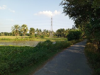 Obraz premium beautiful view of the park, Nature background