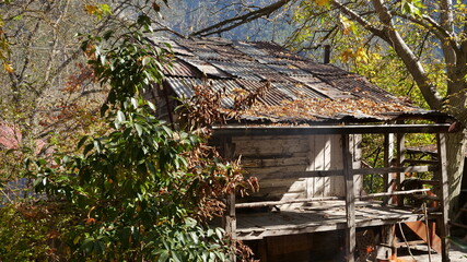 house, wood, wooden, old, building, forest, 