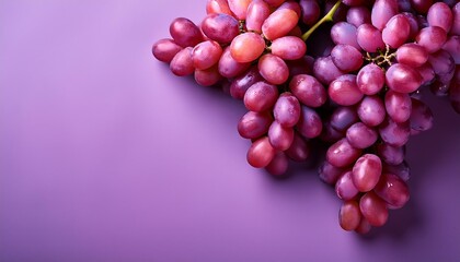 isolated bunch of grapevine on violet background, food photography	
