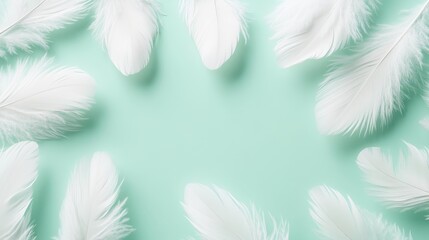 Naklejka premium Aesthetic arrangement of soft, white feathers on a serene mint green background, creating a calming and delicate vibe.