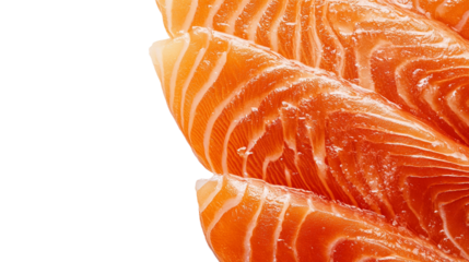 raw salmon fillet ready to cook isolated background