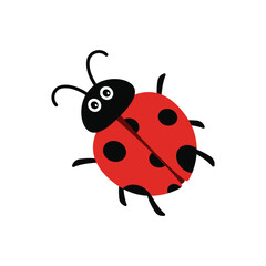 Ladybug cartoon cute character isolated on white background. Ladybug insect vector illustration