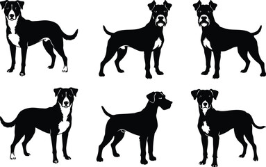Set of Dog Silhouette Vector 